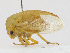  ( - CBG-A16663-A07)  @11 [ ] CreativeCommons - Attribution Share-Alike (2023) CBG Photography Group Centre for Biodiversity Genomics