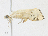  ( - CBG-A17514-D08)  @11 [ ] CreativeCommons - Attribution Share - Alike (2023) CBG Photography Group Centre for Biodiversity Genomics