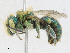  ( - CBG-A23275-F02)  @11 [ ] CreativeCommons - Attribution Share - Alike (2023) CBG Photography Group Centre for Biodiversity Genomics
