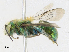  ( - CBG-A23275-F07)  @11 [ ] CreativeCommons - Attribution Share - Alike (2023) CBG Photography Group Centre for Biodiversity Genomics