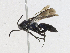  ( - CBG-A23276-F03)  @11 [ ] CreativeCommons - Attribution Share-Alike (2023) CBG Photography Group Centre for Biodiversity Genomics