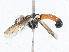  ( - CBG-A23276-H01)  @11 [ ] CreativeCommons - Attribution Share-Alike (2023) CBG Photography Group Centre for Biodiversity Genomics