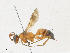  ( - CBG-A23277-D11)  @11 [ ] CreativeCommons - Attribution Share - Alike (2023) CBG Photography Group Centre for Biodiversity Genomics