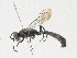  ( - CBG-A23277-E11)  @11 [ ] CreativeCommons - Attribution Share - Alike (2023) CBG Photography Group Centre for Biodiversity Genomics