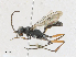  ( - CBG-A23277-F04)  @11 [ ] CreativeCommons - Attribution Share - Alike (2023) CBG Photography Group Centre for Biodiversity Genomics
