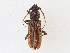 ( - CBG-A23278-B12)  @11 [ ] CreativeCommons - Attribution Share - Alike (2023) CBG Photography Group Centre for Biodiversity Genomics