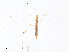  ( - CBG-A23278-H08)  @11 [ ] CreativeCommons - Attribution Share - Alike (2023) CBG Photography Group Centre for Biodiversity Genomics
