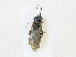  ( - CBG-A23282-C09)  @11 [ ] CreativeCommons - Attribution Share - Alike (2023) CBG Photography Group Centre for Biodiversity Genomics