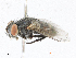  ( - CBG-A23282-H09)  @11 [ ] CreativeCommons - Attribution Share - Alike (2023) CBG Photography Group Centre for Biodiversity Genomics