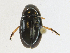  ( - CBG-A23286-E01)  @11 [ ] CreativeCommons - Attribution Share - Alike (2023) CBG Photography Group Centre for Biodiversity Genomics
