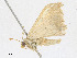  ( - CBG-A23287-B07)  @11 [ ] CreativeCommons - Attribution Share - Alike (2023) CBG Photography Group Centre for Biodiversity Genomics