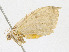  ( - CBG-A23287-B08)  @11 [ ] CreativeCommons - Attribution Share - Alike (2023) CBG Photography Group Centre for Biodiversity Genomics