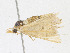  ( - CBG-A23287-B09)  @11 [ ] CreativeCommons - Attribution Share - Alike (2023) CBG Photography Group Centre for Biodiversity Genomics