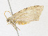  ( - CBG-A23287-B12)  @11 [ ] CreativeCommons - Attribution Share - Alike (2023) CBG Photography Group Centre for Biodiversity Genomics