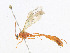  ( - CBG-A23287-H01)  @11 [ ] CreativeCommons - Attribution Share - Alike (2023) CBG Photography Group Centre for Biodiversity Genomics