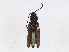  ( - CBG-A23288-A04)  @11 [ ] CreativeCommons - Attribution Share - Alike (2023) CBG Photography Group Centre for Biodiversity Genomics