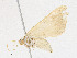  ( - CBG-A23288-G05)  @11 [ ] CreativeCommons - Attribution Share - Alike (2023) CBG Photography Group Centre for Biodiversity Genomics