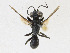  ( - CBG-A23413-F11)  @11 [ ] CreativeCommons - Attribution Share - Alike (2023) CBG Photography Group Centre for Biodiversity Genomics