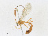  ( - CBG-A23427-B07)  @11 [ ] CreativeCommons - Attribution Share - Alike (2023) CBG Photography Group Centre for Biodiversity Genomics