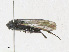  ( - CBG-A23428-D09)  @11 [ ] CreativeCommons - Attribution Share - Alike (2023) CBG Photography Group Centre for Biodiversity Genomics