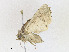  ( - CBG-A23429-E03)  @11 [ ] CreativeCommons - Attribution Share - Alike (2023) CBG Photography Group Centre for Biodiversity Genomics