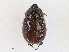  ( - CBG-A24206-B02)  @11 [ ] CreativeCommons - Attribution Share - Alike (2023) CBG Photography Group Centre for Biodiversity Genomics