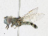  ( - CBG-A24208-A10)  @11 [ ] CreativeCommons - Attribution Share - Alike (2023) CBG Photography Group Centre for Biodiversity Genomics