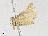  ( - CBG-A24266-F12)  @11 [ ] CreativeCommons - Attribution Share - Alike (2024) CBG Photography Group Centre for Biodiversity Genomics