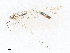  ( - CBG-A25912-H09)  @11 [ ] CreativeCommons - Attribution Share - Alike (2024) CBG Photography Group Centre for Biodiversity Genomics