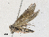  ( - CBG-A27539-C01)  @11 [ ] CreativeCommons - Attribution Share - Alike (2024) CBG Photography Group Centre for Biodiversity Genomics