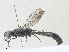 ( - CBG-A27539-F10)  @11 [ ] CreativeCommons - Attribution Share - Alike (2024) CBG Photography Group Centre for Biodiversity Genomics