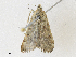  ( - CBG-A27541-E08)  @11 [ ] CreativeCommons - Attribution Share - Alike (2024) CBG Photography Group Centre for Biodiversity Genomics
