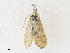  ( - CBG-A27541-E11)  @11 [ ] CreativeCommons - Attribution Share - Alike (2024) CBG Photography Group Centre for Biodiversity Genomics