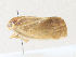 ( - CBG-A27541-G10)  @11 [ ] CreativeCommons - Attribution Share - Alike (2024) CBG Photography Group Centre for Biodiversity Genomics