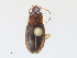  ( - CBG-A27542-G10)  @11 [ ] CreativeCommons - Attribution Share - Alike (2024) CBG Photography Group Centre for Biodiversity Genomics