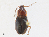  ( - CBG-A27542-H06)  @11 [ ] CreativeCommons - Attribution Share - Alike (2024) CBG Photography Group Centre for Biodiversity Genomics