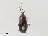 ( - CBG-A27543-A07)  @11 [ ] CreativeCommons - Attribution Share - Alike (2024) CBG Photography Group Centre for Biodiversity Genomics