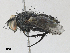  ( - CBG-A27543-F07)  @11 [ ] CreativeCommons - Attribution Share - Alike (2024) CBG Photography Group Centre for Biodiversity Genomics