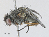  ( - CBG-A27543-G05)  @11 [ ] CreativeCommons - Attribution Share - Alike (2024) CBG Photography Group Centre for Biodiversity Genomics