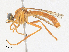  ( - CBG-A27543-H02)  @11 [ ] CreativeCommons - Attribution Share - Alike (2024) CBG Photography Group Centre for Biodiversity Genomics