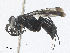  ( - CBG-A27544-H02)  @11 [ ] CreativeCommons - Attribution Share - Alike (2024) CBG Photography Group Centre for Biodiversity Genomics