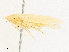 ( - CBG-A27546-A02)  @11 [ ] CreativeCommons - Attribution Share - Alike (2024) CBG Photography Group Centre for Biodiversity Genomics