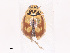 ( - CBG-A27629-B02)  @11 [ ] CreativeCommons - Attribution Share-Alike (2024) CBG Photography Group Centre for Biodiversity Genomics