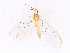  ( - CBG-A27629-H09)  @11 [ ] CreativeCommons - Attribution Share-Alike (2024) CBG Photography Group Centre for Biodiversity Genomics