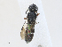  ( - CBG-A27631-G01)  @11 [ ] CreativeCommons - Attribution Share - Alike (2024) CBG Photography Group Centre for Biodiversity Genomics