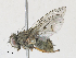  ( - CBG-A30073-D10)  @11 [ ] CreativeCommons - Attribution Share - Alike (2024) CBG Photography Group Centre for Biodiversity Genomics