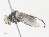 ( - CBG-A30074-C07)  @11 [ ] CreativeCommons - Attribution Share - Alike (2024) CBG Photography Group Centre for Biodiversity Genomics