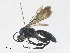  ( - CBG-A30074-F02)  @11 [ ] CreativeCommons - Attribution Share - Alike (2024) CBG Photography Group Centre for Biodiversity Genomics