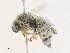  ( - CBG-A36798-H01)  @11 [ ] CreativeCommons - Attribution Share - Alike (2024) CBG Photography Group Centre for Biodiversity Genomics