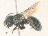  ( - CBG-A36800-H06)  @11 [ ] CreativeCommons - Attribution Share - Alike (2024) CBG Photography Group Centre for Biodiversity Genomics